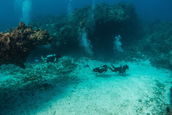 Scuba Diving in Cozumel Island - Second Session Timing, Then Back to Fonatur Around 3:30 PM