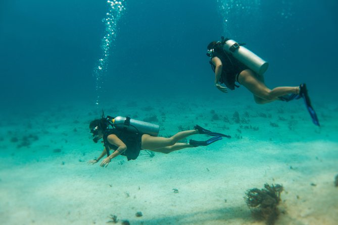 Scuba Diving in Cozumel Island - Open-Ended Ferry Ticket: Extend Your Cozumel Time
