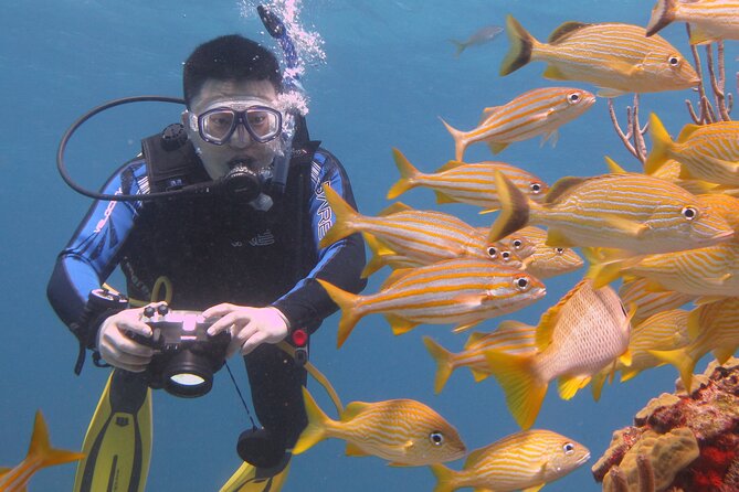 Scuba Diving Under Water Museum and Reef for beginners - FAQ