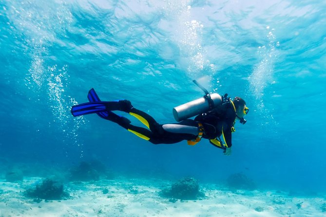 Scuba Referral Dives & Beach Club with Transportation In Riviera Maya - Maroma Beach and the reef spots: more than just a checklist