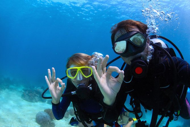 Scuba Referral Dives & Beach Club with Transportation In Riviera Maya - The day of the 9:30 am start: how the timeline usually feels
