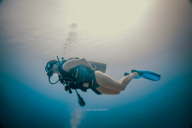 Scuba Referral Dives & Beach Club with Transportation In Riviera Maya - Gear, comfort, and what you should expect to handle yourself