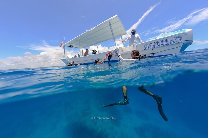 Scuba Referral Dives & Beach Club with Transportation In Riviera Maya - Safety rules you should take seriously before you book
