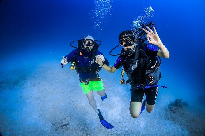 Scuba Referral Dives & Beach Club with Transportation In Riviera Maya - The guide experience: names you might meet and what they’re known for