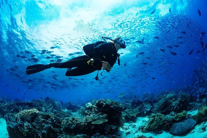 Scuba Referral Dives & Beach Club with Transportation In Riviera Maya - What’s included: the practical stuff that saves real money