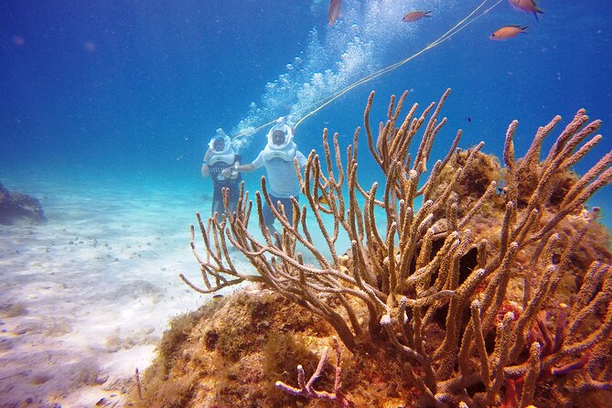 Sea Trek Adventure at Chankanaab National Park - Sea Trek in plain terms: a helmet walk on a sandy reef