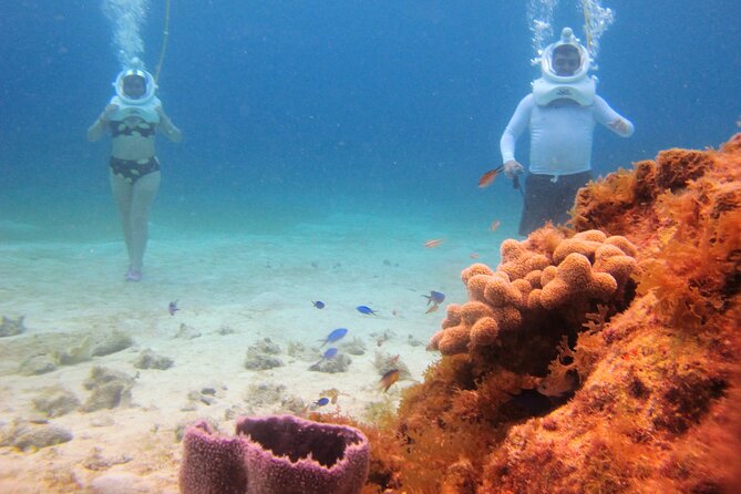 Sea Trek Adventure at Chankanaab National Park - Safety and fit: what can make or break the experience