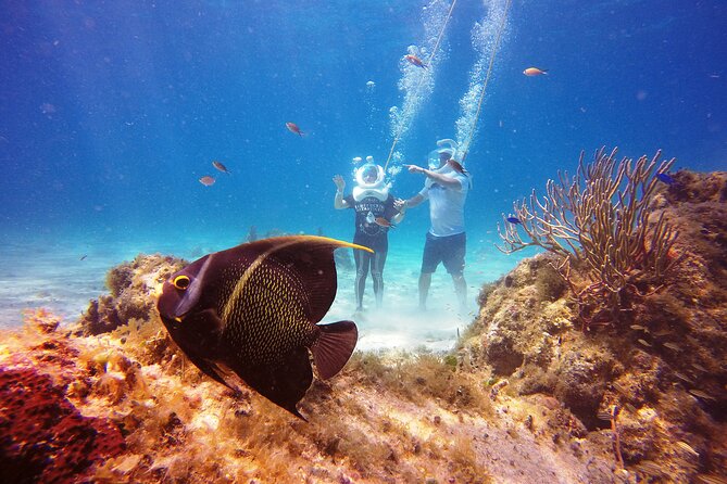Sea Trek Adventure at Chankanaab National Park - Who should book Sea Trek at Chankanaab