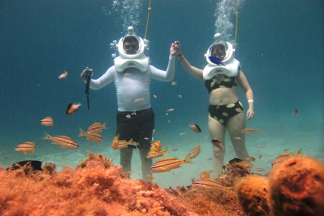 Sea Trek Adventure at Chankanaab National Park - Price and value: the $79 tour plus the $19 park entry