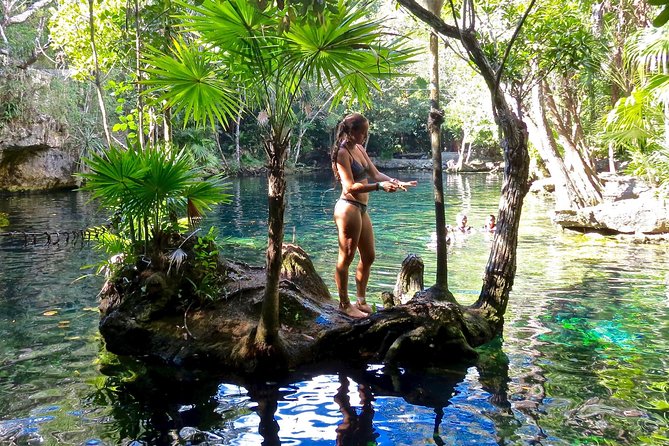 Sea turtle and cenotes half day Snorkeling Tour from Riviera Maya - Who This Tour Fits Best (and Who Should Rethink It)