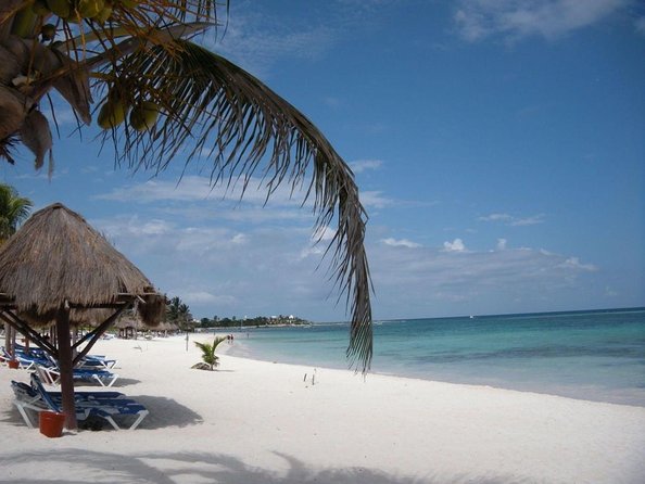 Sea Turtle Snorkeling Ecofriendly Tour from Cancun & Riviera Maya - Key Highlights Worth Your Morning