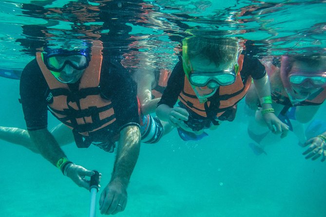 Sea Turtle Snorkeling Ecofriendly Tour from Cancun & Riviera Maya - Price and Value: $149, What You Are Really Buying
