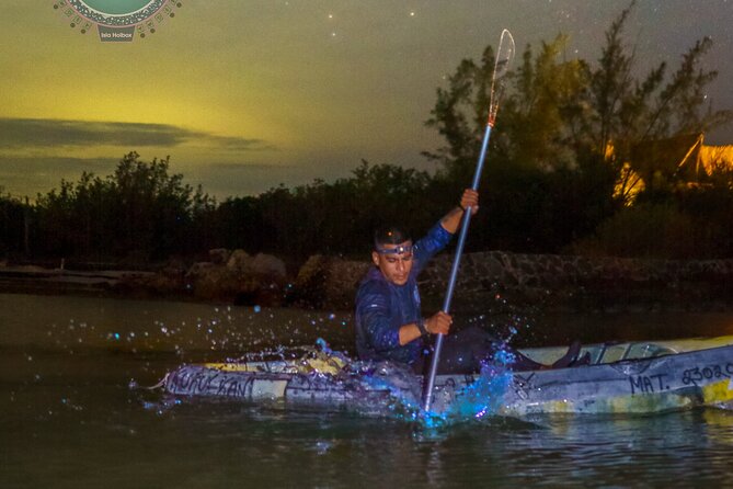 Shared Bioluminescence kayak tour in Holbox - Small group, big comfort: what the max 14 limit changes