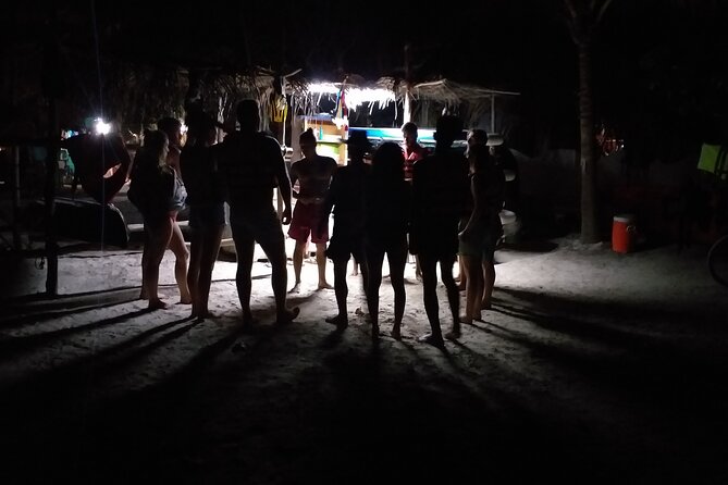 Shared Bioluminescence kayak tour in Holbox - The bioluminescence hunt: how to know you are doing it right