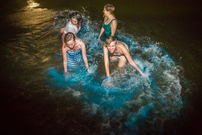 Shared Bioluminescence kayak tour in Holbox - Stars plus plankton: what guides often focus on