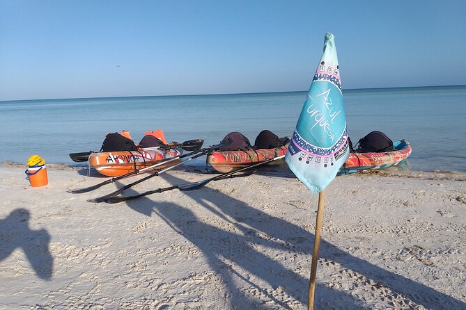 Shared mangroves kayak tour in Holbox - Kayaks, pace, and the real work of paddling Holbox