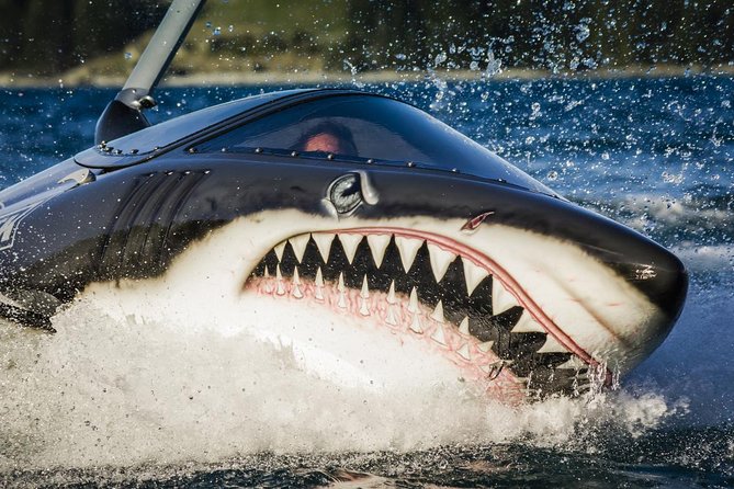 Shark Ride in Cancun - Seabreacher - Where the Seabreacher Fits in Your Cancun Plan