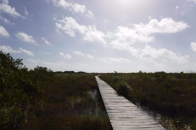 Sian Ka'an Adventure (Private, Full Day) - Price and value: what $254 buys you (and what it doesn’t)