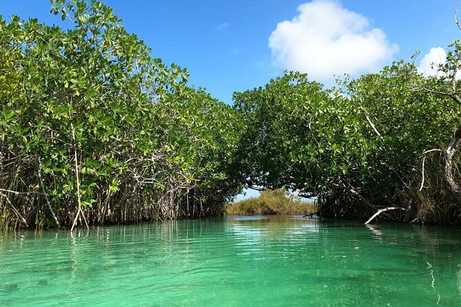 Sian Ka'an Biosphere Reserve Guided Tour - Muyil Ruins: stepping into Mayan jungle time