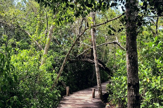 Sian Ka'an Biosphere Reserve Guided Tour - The rhythm of a 5-hour day that actually works