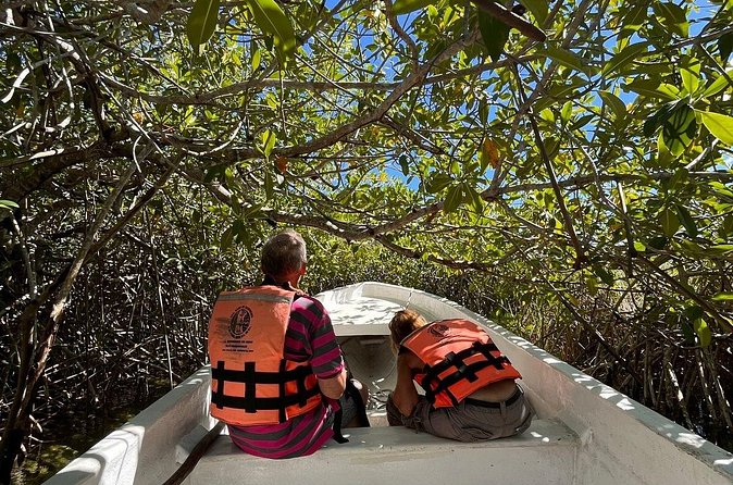 Sian Ka'an Biosphere Reserve Guided Tour - Who should book this Sian Ka’an and Muyil tour