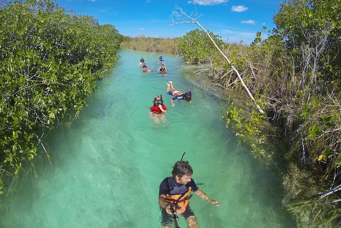 Sian Kaan Lagoons - Float through mangroves: the relaxing break from heat and effort