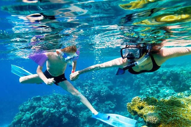 SkyReef Cozumel Snorkel & Tequila Tasting - Getting there and getting oriented at the meeting point