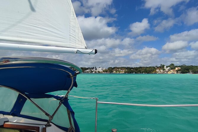 Slow Sailing Bacalar Experience with snack and drinks - Cenotes, mangroves, and giant stromatolites on the south side route