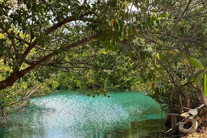 Small-Group 3 Cenotes Adventure Tour - Aktun Yax Kan: the dark cave finale you’ll actually remember