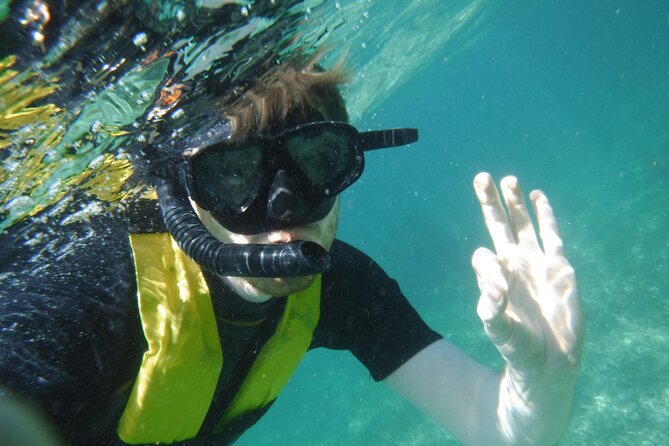 Small-Group Mesoamerican Barrier Reef Snorkeling in Puerto Morelos - Second snorkel at the reef: a fresh shot at rays, turtles, and bigger sightings