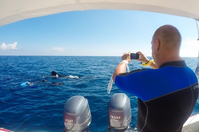 Small Group Whale Shark Encounter - 10 years in business - Playa Norte Snorkeling: How the Guide Gets You Close Safely