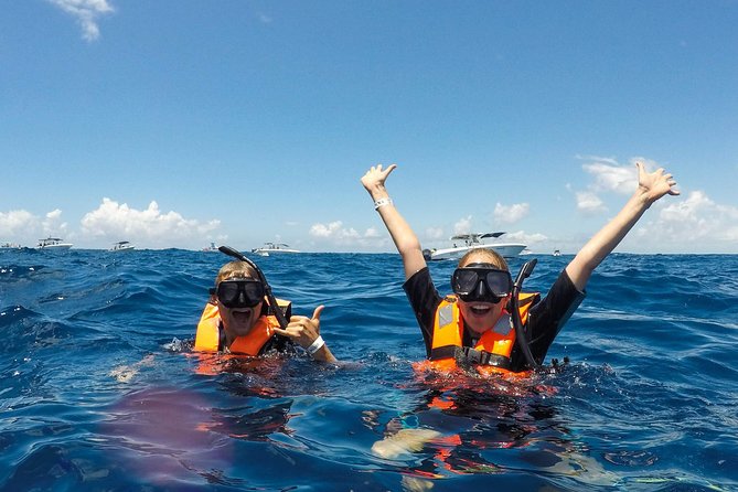 Small Group Whale Shark Encounter - 10 years in business - Snorkeling Gear and Photos: What’s Actually Included