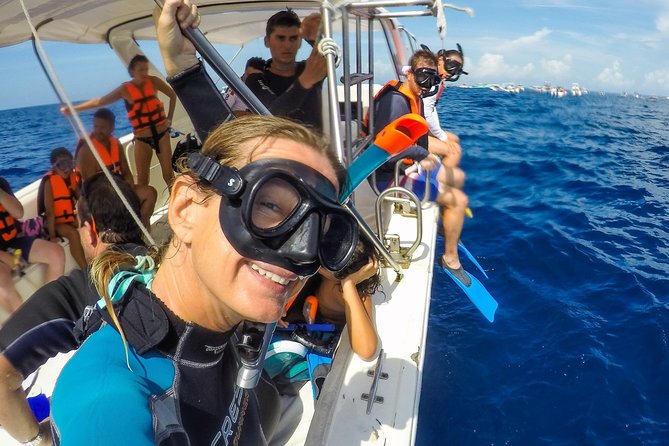 Small Group Whale Shark Encounter - 10 years in business - Price, Value, and the Real Cost at the Marina