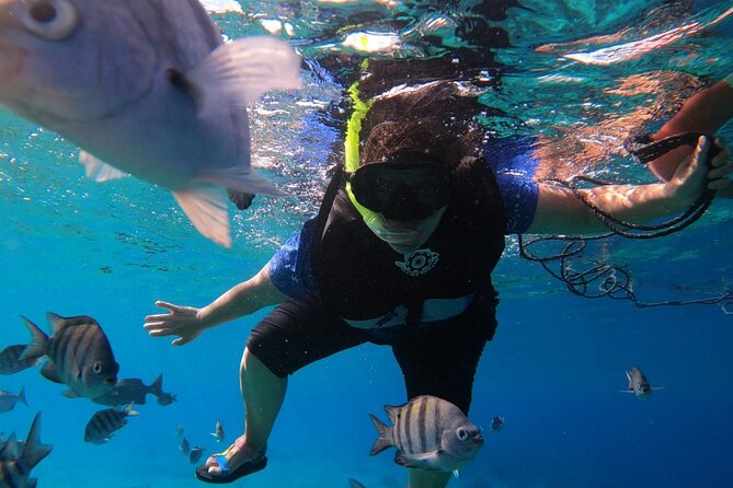 Snorkel along the coast, explore two reefs by Chivis del Mar - Price and Value: What $35.85 Really Gets You