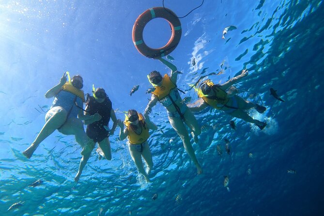 Snorkel along the coast, explore two reefs by Chivis del Mar - Where You Meet, and How You Avoid the Usual Port Headaches