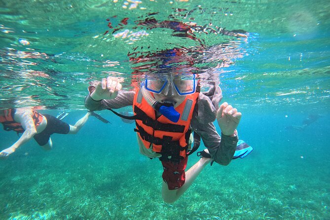 Snorkel at the Reef 2 HOURS Puerto Morelos National park - Key highlights you’ll care about