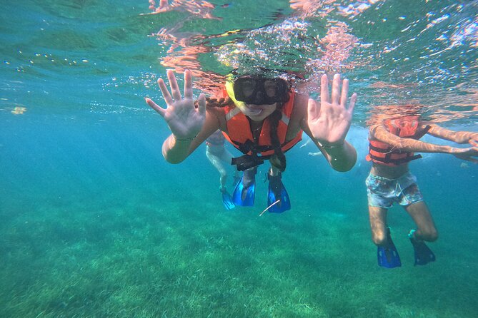 Snorkel at the Reef 2 HOURS Puerto Morelos National park - Price and Value for $43.01 in Puerto Morelos