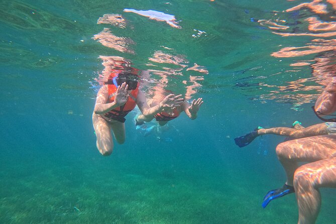 Snorkel at the Reef 2 HOURS Puerto Morelos National park - Who This Snorkel Tour Fits Best