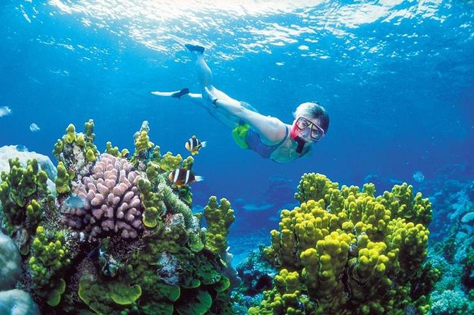 Snorkel, ATV, Zipline and Cenote Adventure from Cancun - When Weather Hits: Ocean Navigation Closure and the Lagoon Swap