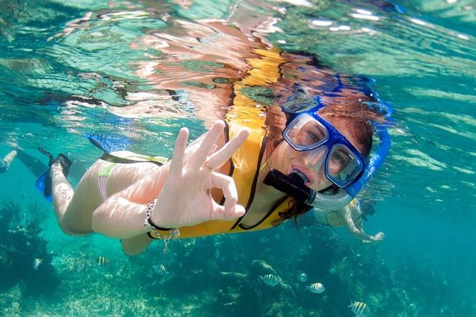 Snorkel in the second largest reef in the world Colorful tour in Puerto Morelos - Who Should Book This Tour, and Who Should Skip It