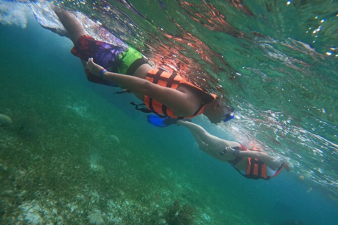 Snorkeling Adventure in Puerto Morelos Includes snack, Water and Round Trip. - Puerto Morelos Snorkeling as a Realistic Cancun Alternative