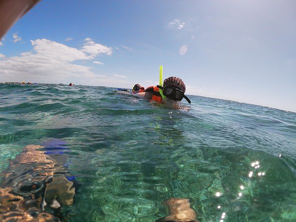Snorkeling Adventure in Puerto Morelos Includes snack, Water and Round Trip. - Beach Club Tacos and the Puerto Morelos Walk