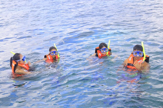 Snorkeling Adventure in Puerto Morelos Includes snack, Water and Round Trip. - Guides, Group Size, and the Human Part of the Day