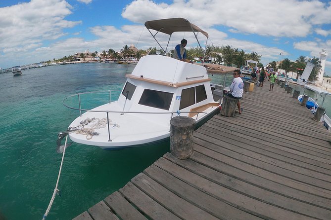 Snorkeling Adventure in Puerto Morelos Includes snack, Water and Round Trip. - Pickup Timing, Van Rides, and the Boat-Ready Moment
