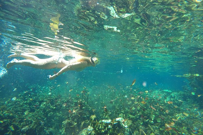 Snorkeling Adventure Tour Reef & Cenote - The Tulum Reef Bay view, then snorkeling for turtles and reef fish