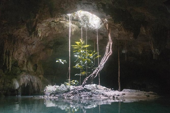 Snorkeling Adventure Tour Reef & Cenote - Casa Cenote and the variety factor that keeps it interesting