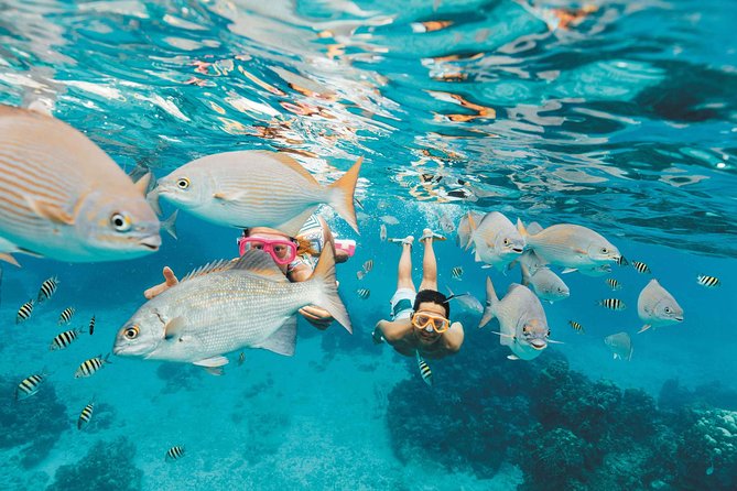 Snorkeling in Puerto Morelos - Equipment, Facilities, and Comfort: What’s Included and What to Bring