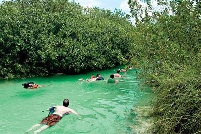 Snorkeling in Sian Ka'an - Mangroves and a natural sinkhole stop