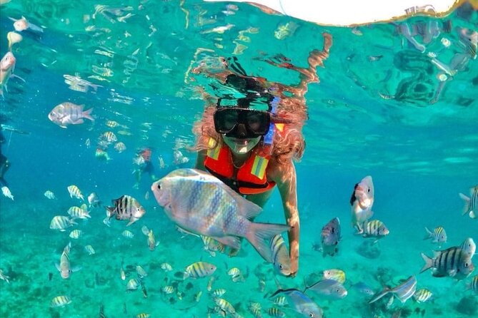 Snorkeling tour Express in Cancun with Certified Guide - The Puerto Morelos Reef Plan: Two Spots, Two Hours, Lots to Watch