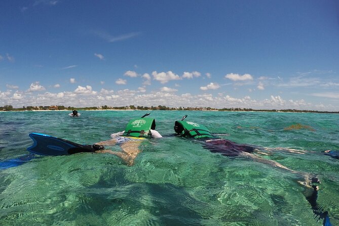 Snorkeling with Caribbean fish and private cenote exploration - What you actually do underground, walking and swimming